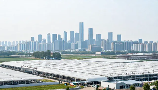 企业战略规划中市场调研的性能问题及处理方向